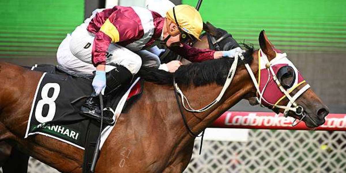Your Ultimate Guide to the Best Aussie Betting Sites