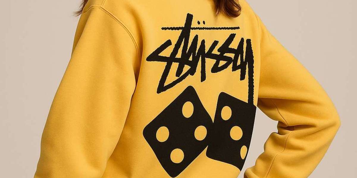 Stussy Hoodie and T Shirt Choices for Casual Style 2025