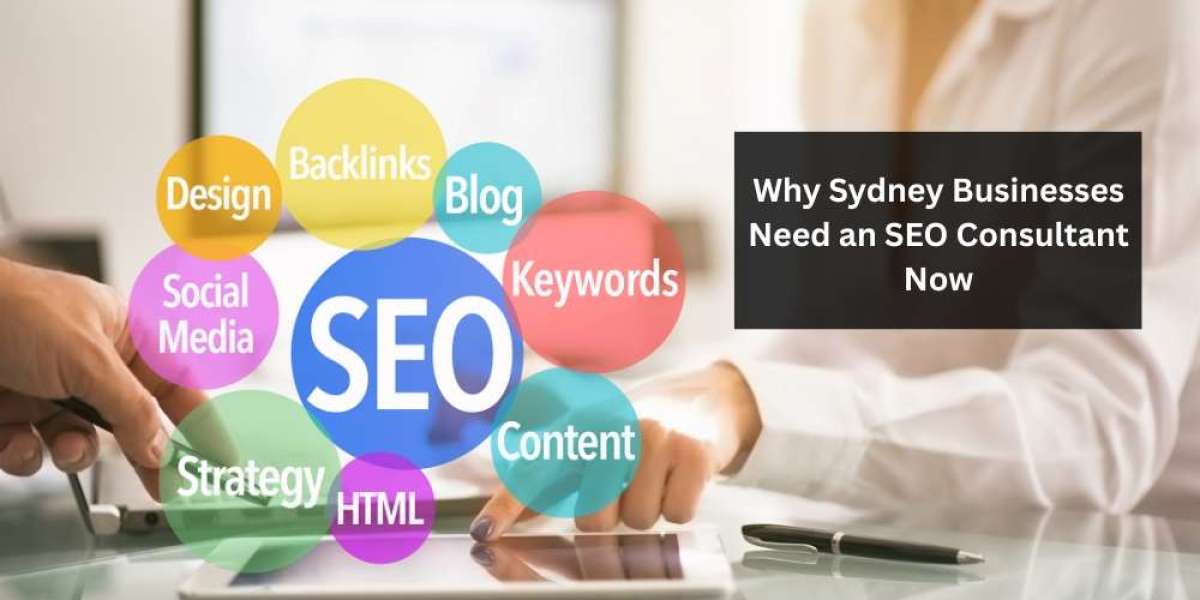 Why Sydney Businesses Need an SEO Consultant Now