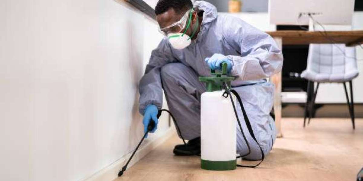 Pest Control Melbourne: Protecting Homes and Businesses