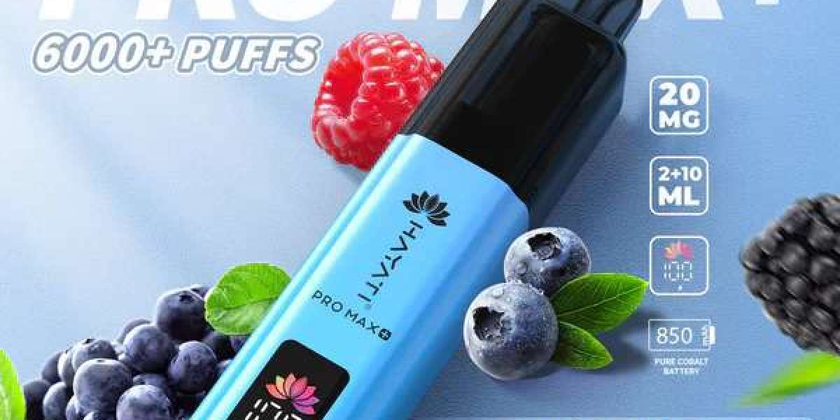 A Deep Dive into the Hayati Pro Max Plus 6000 – Flavor Meets Endurance