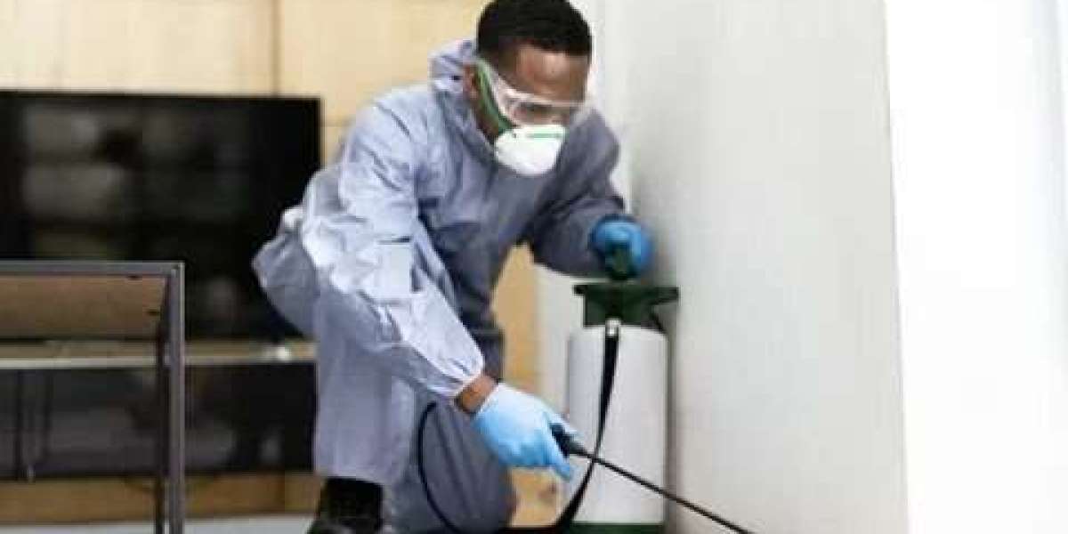 Pest Control Near Me: Finding the Right Solution for a Pest-Free Home