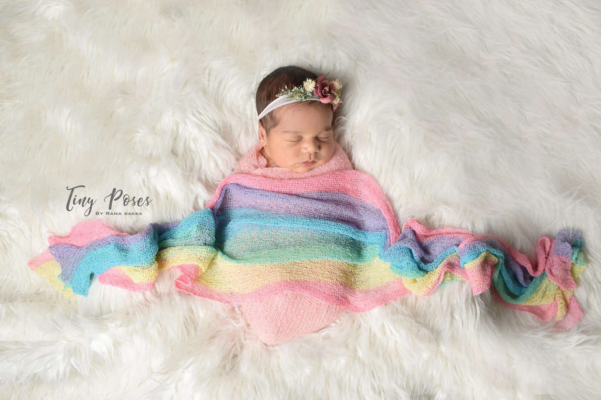 newborn family photography