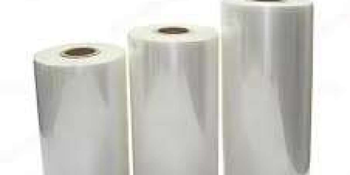Biodegradable Films Manufacturing Plant Cost 2025: Industry Analysis, and Machinery Requirement