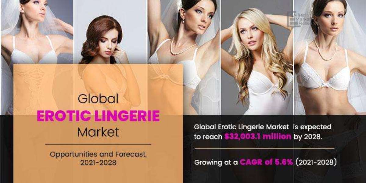 Erotic lingerie Market Share, Growth Factors, Comprehensive Research 2028