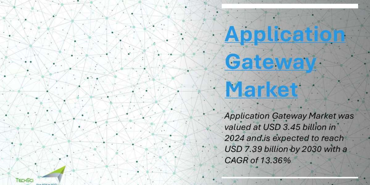 Application Gateway Market 2030: Size, Share, Forecast Report & Industry Insights