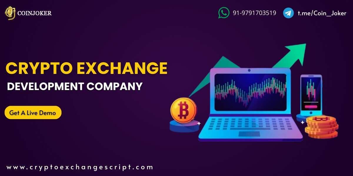 Building Crypto Exchanges as Financial Ecosystems: Development Services Behind the Innovation
