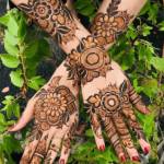 mehndi offcial