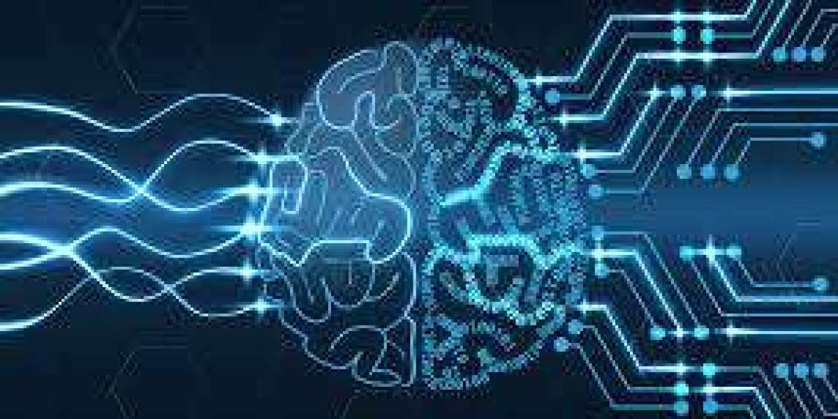 Why Companies Prefer to Rent IPv4 for Hosting Solutions