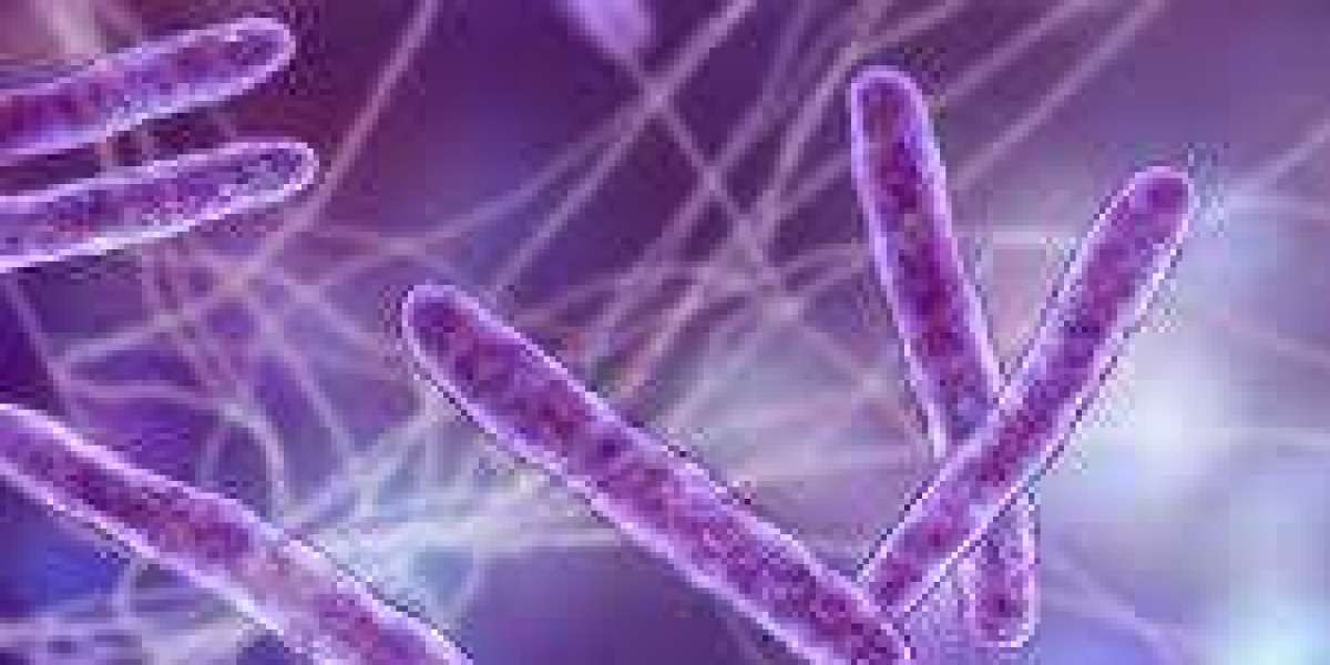 Bacillus Coagulans Market Consumer Preferences Driving Product Development and Growth