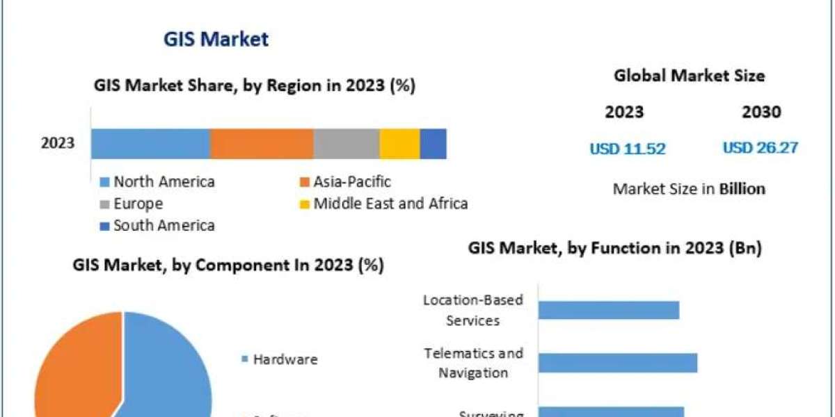 GIS Market Global Industry Analysis and Outlook 2030