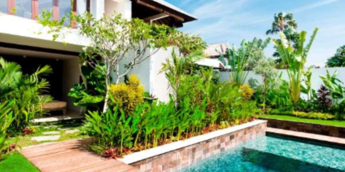 Enhance Outdoor Spaces with Custom Landscaping Care | ALIA Management Ibiza