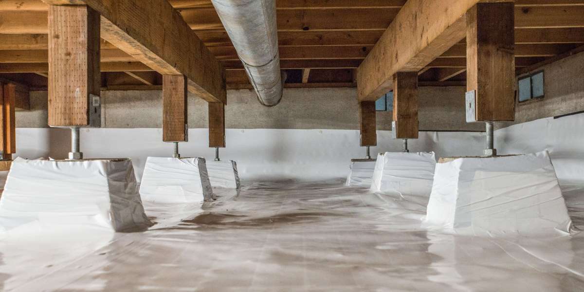Professional Crawlspace Waterproofing Experts in Louisville, KY