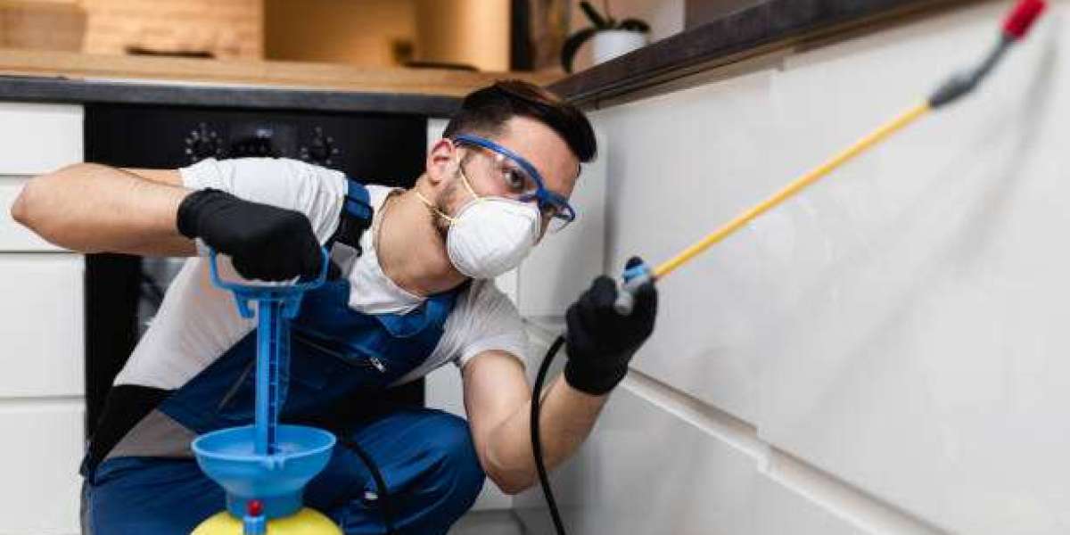 Termite Control – Protecting Your Property from Silent Damage