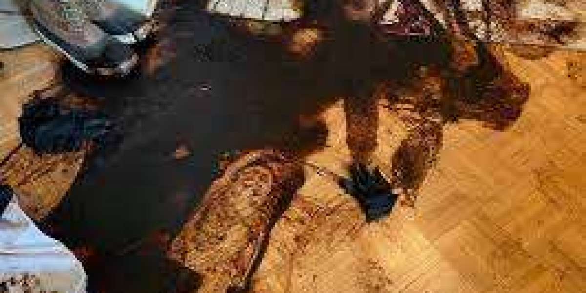 Trauma Cleanup: Professional, Compassionate Restoration Services
