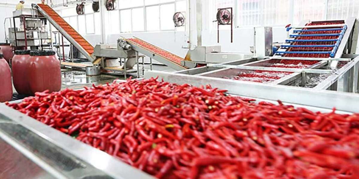 Detailed Report on Chili Pepper Processing Plant Setup Cost 2025: Layout and Raw Material