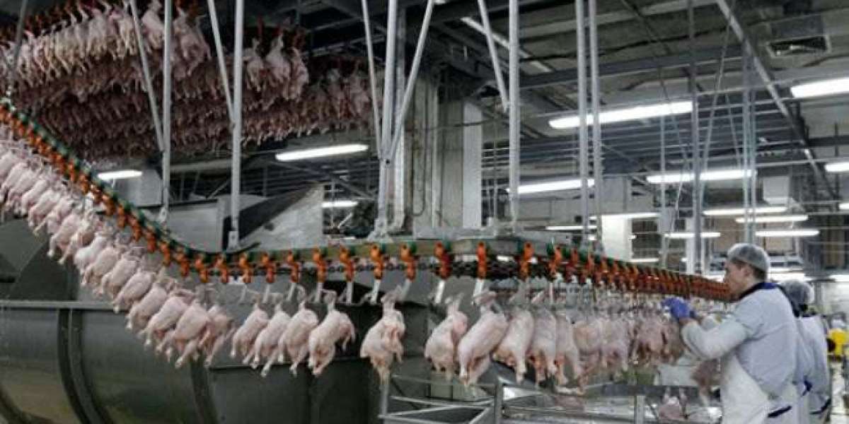 Chicken Processing Plant Setup | Project Report 2025, Machinery Cost and Business Plan