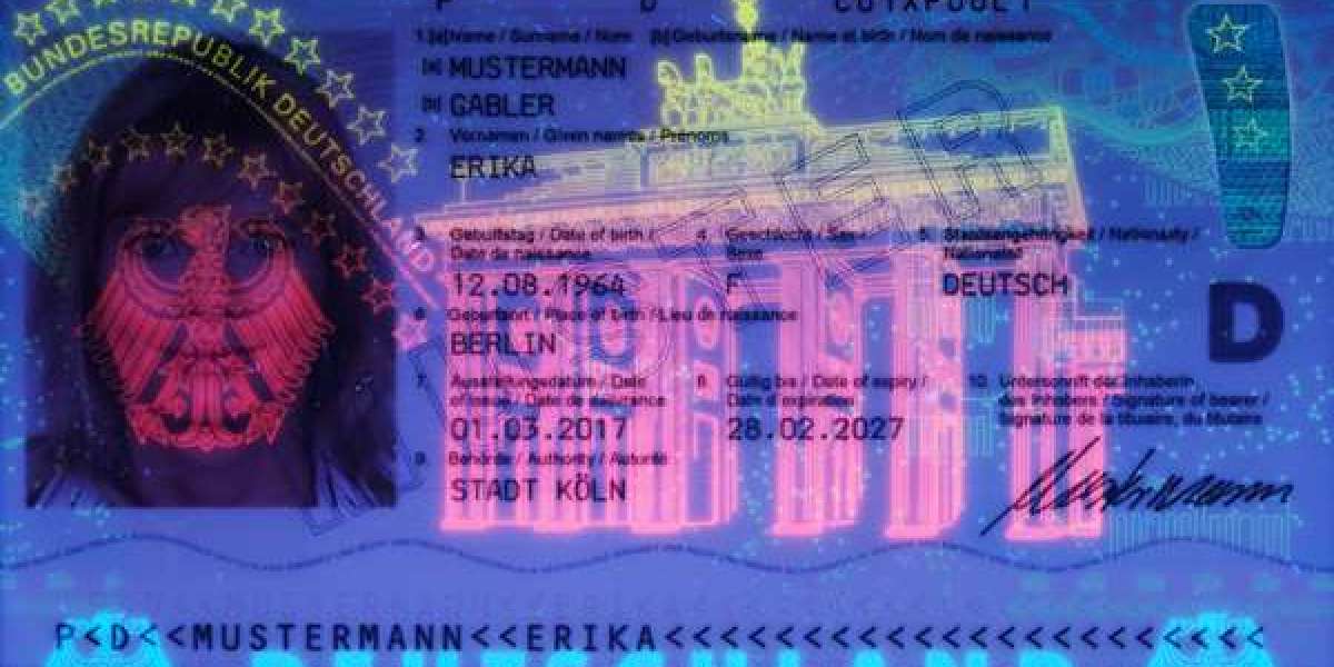 Buy Full Driving Licence Hassle-Free Guide to Getting Your Licence
