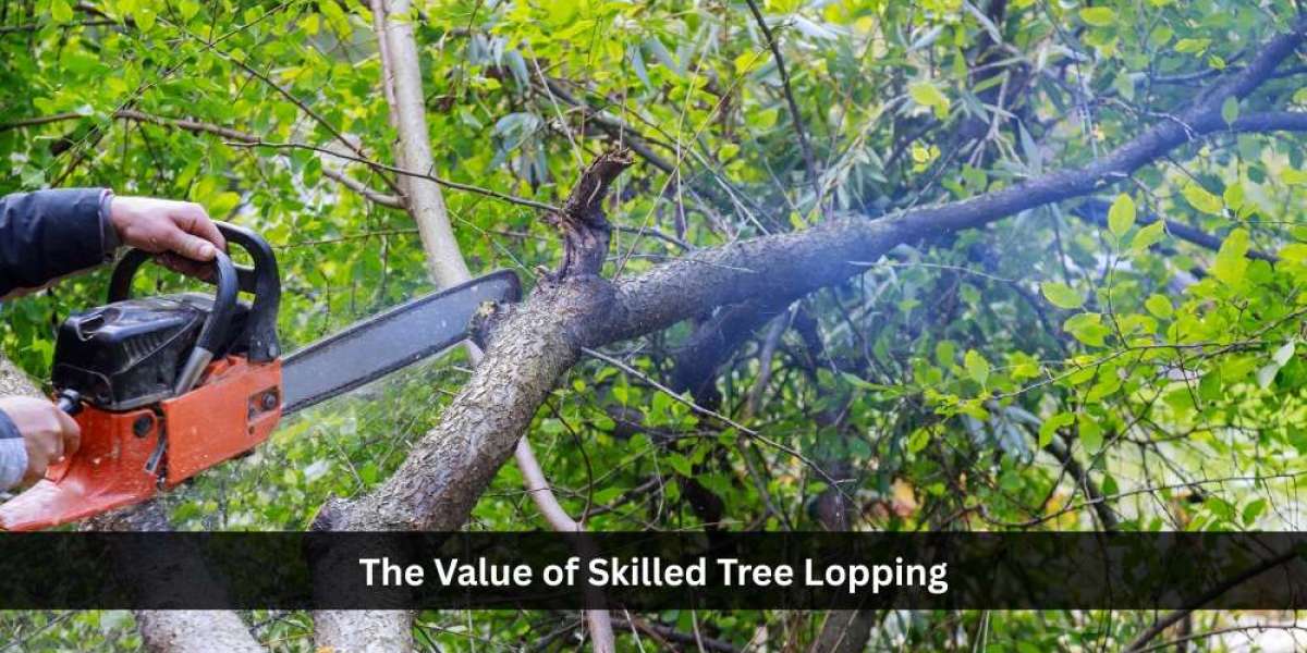 The Value of Skilled Tree Lopping