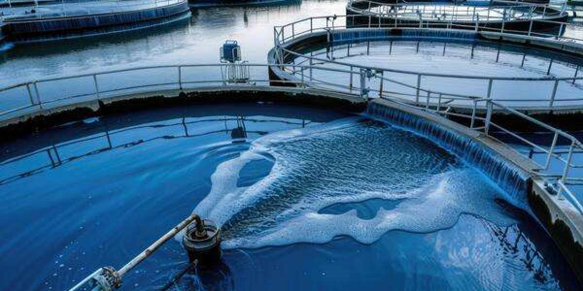 Water Treatment Chemicals Market Accelerators Driving Global Growth Through Sustainability, Innovation, And Industrial E