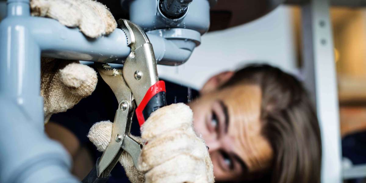 What Makes Professional Water Leak Detection Essential for Every Property Owner?