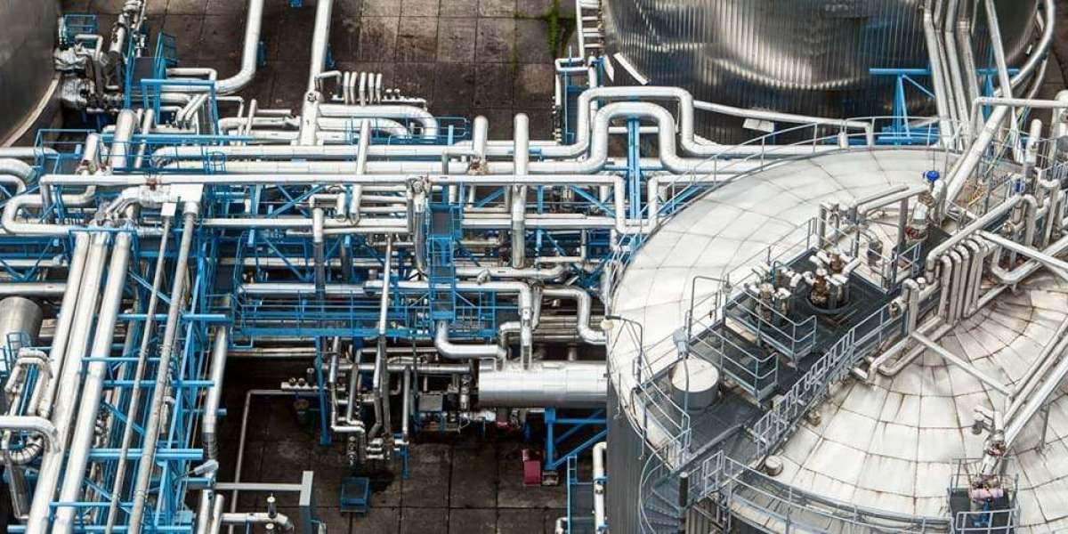 Roadmap for Setting up a Erucic Acid Production Plant Project | Report by IMARC Group