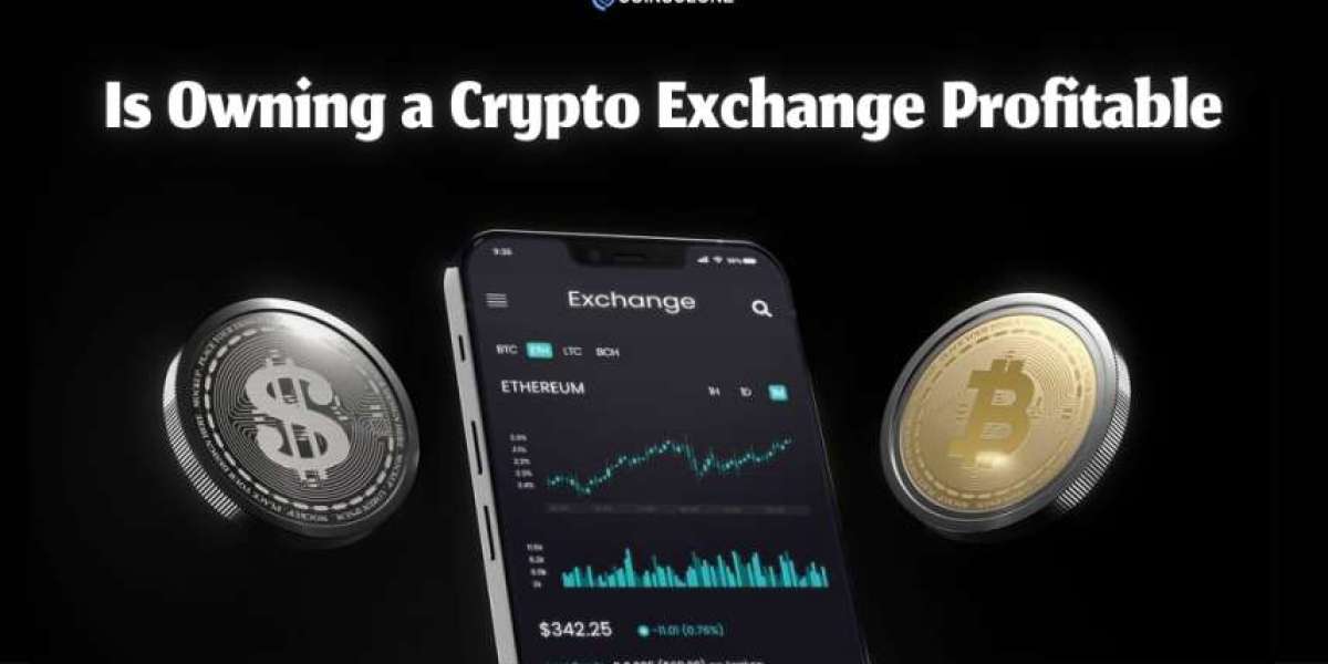 Is Owning a Crypto Exchange Profitable - A Startup Guide