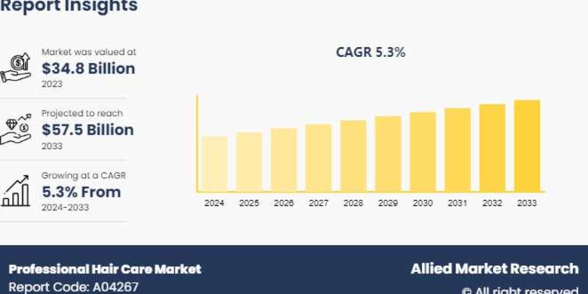 Professional Hair Care Market Growth | Statistics, Trends, Competitor Share, Global Expansion and Forecast to 2033