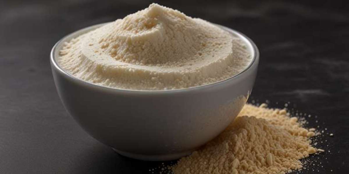 Xanthan Gum Manufacturing Plant Setup 2025: Industry Trends, Business Plan, Cost and Revenue