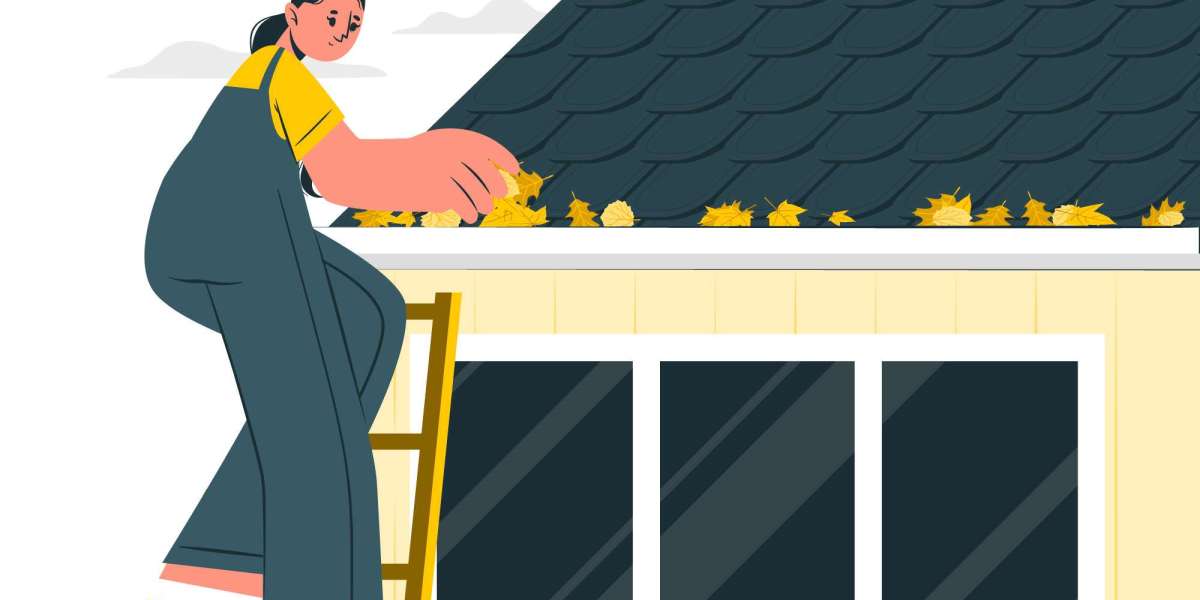 A Practical Guide to Roofing and Insulation Solutions in Denver
