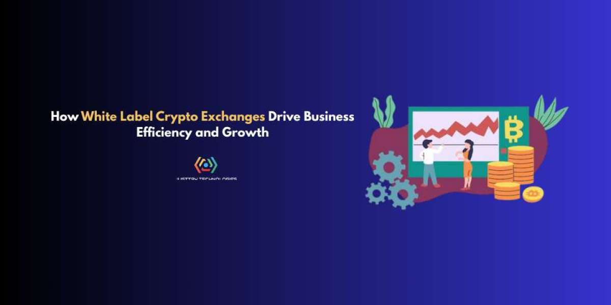 How White Label Crypto Exchanges Drive Business Efficiency and Growth