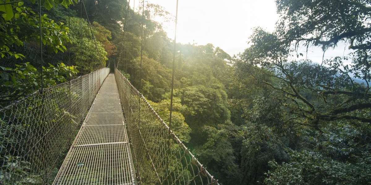 Explore Arenal Costa Rica: A Complete Travel Guide