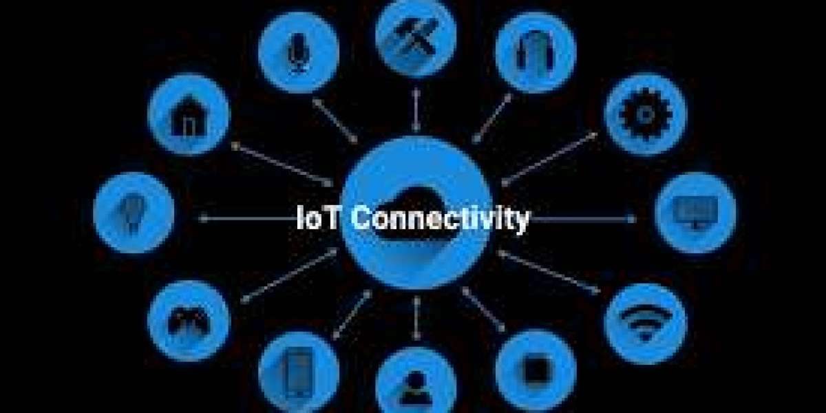 IoT Connectivity Market 2030: Size Insights, Growth Landscape, and Key Industry Players