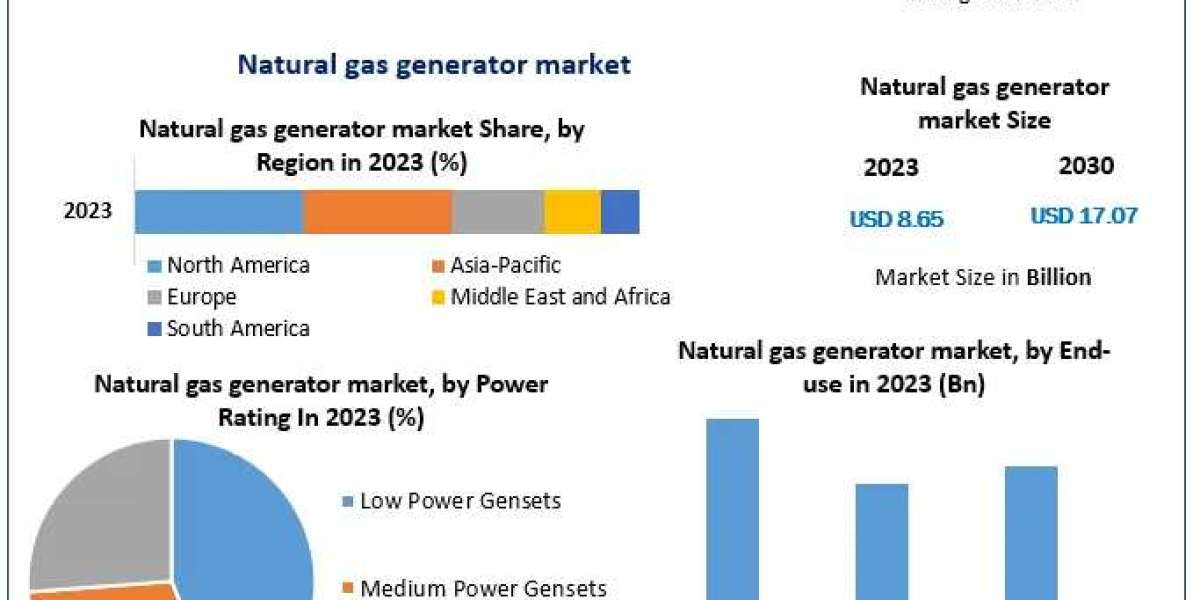Natural Gas Generator Market Insights, Share, and Expansion Opportunities (2024-2030)