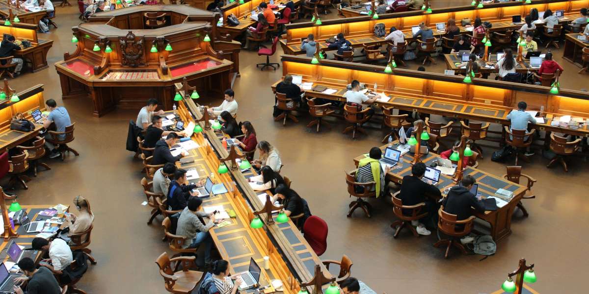 Discover London Through Education: A Life-Changing Journey at LSME