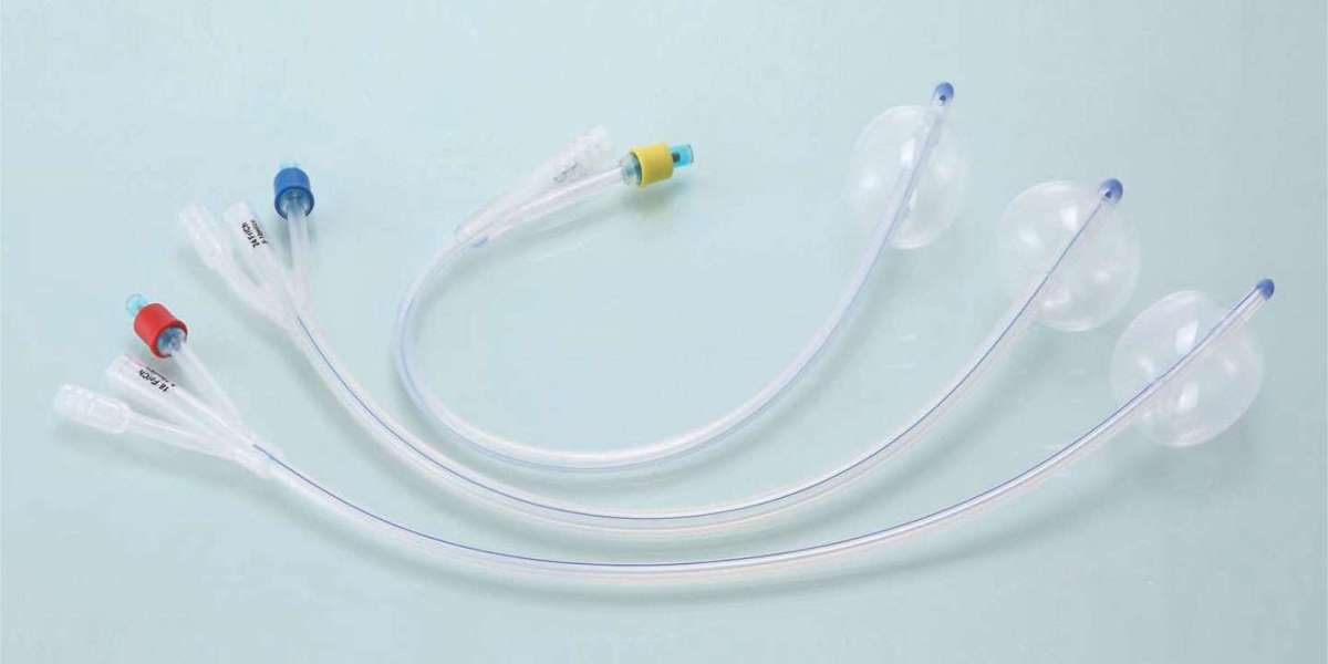 Report on Catheter Manufacturing Plant: Machinery Cost