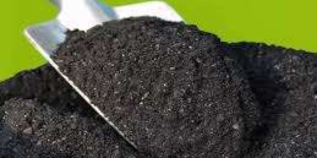 Biochar Market insights into supply chain dynamics, logistics, and distribution challenges globally
