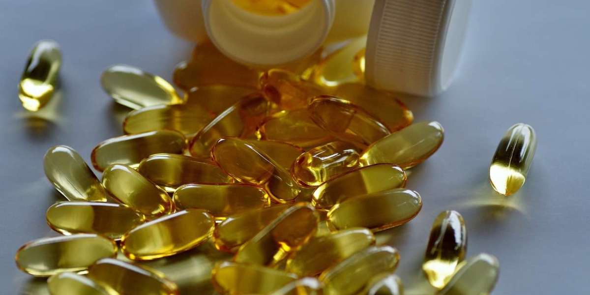 Dietary Supplements Market Outlook: Functional Ingredients in Focus