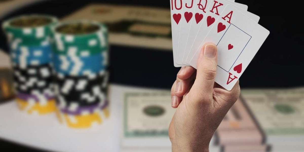 Worried About Scams? Here’s Why Reddybook Club Is Trusted by Thousands