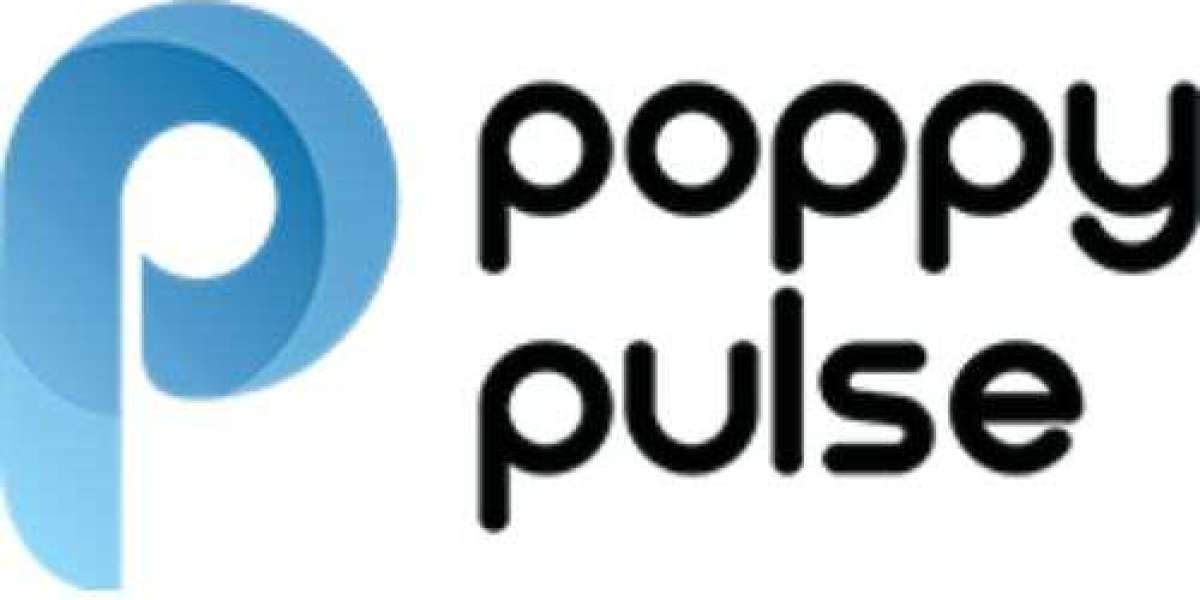 Poppy Pulse – Leading Performance Marketing Agency in Delhi and Noida
