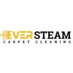 EVER STEAM CARPET CLEANING LLC