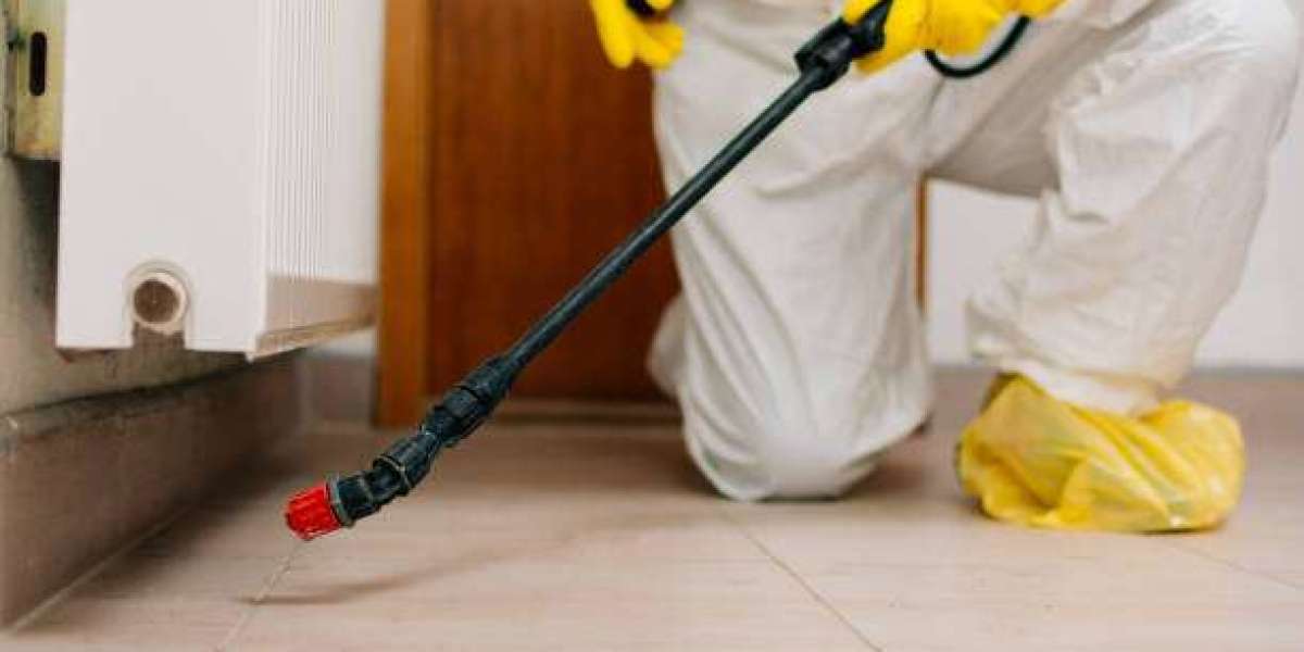 Keep Your Property Healthy with Eco-Friendly Pest Control