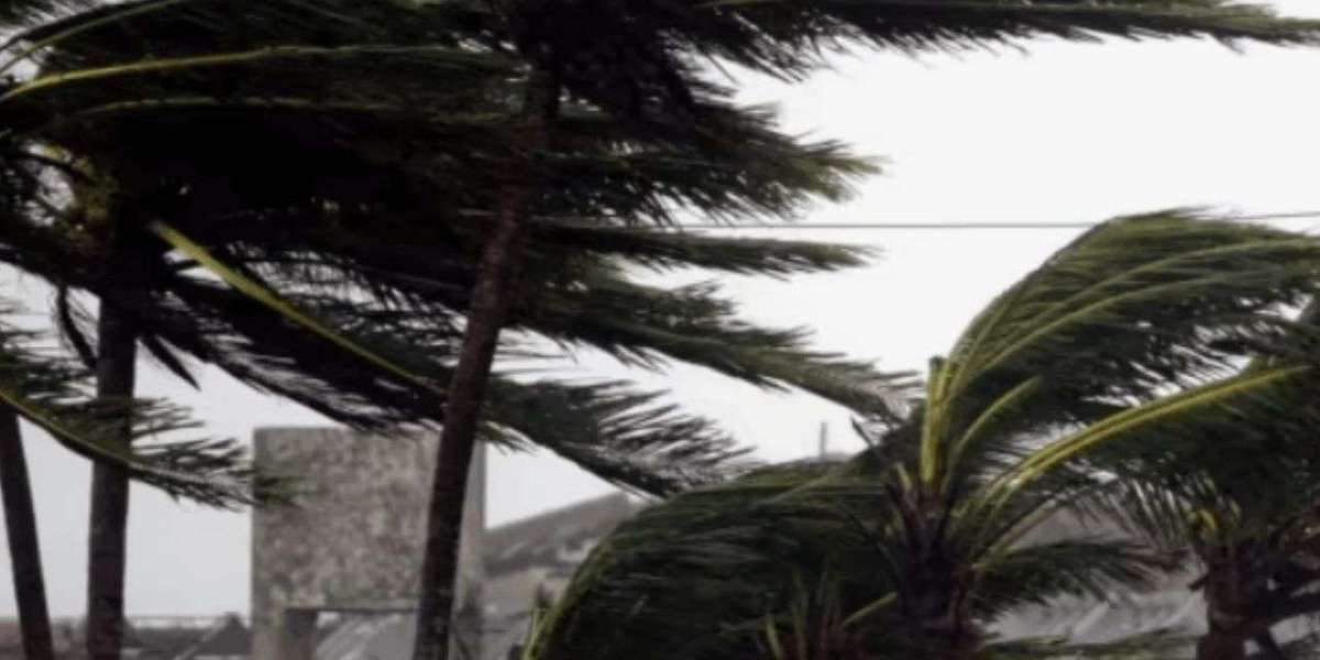 Heavy Rainfall Cause Tragic Losses and Widespread Flooding D. I. Khan And Across Pakistan