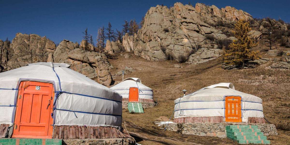 Top Nomadic Experiences to Try in Mongolia