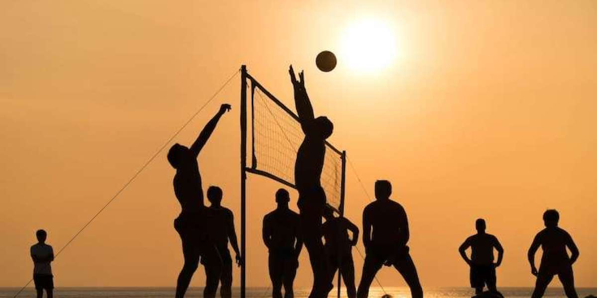 Zog Sports Volleyball: Where Competition Meets Community