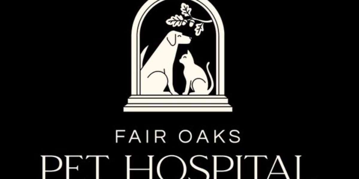 How Do I Find A Cat Friendly Vet In Fair Oaks