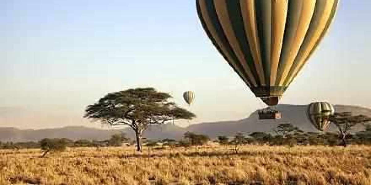 Discover the Magic of Johannesburg from the Skies: Hot Air Balloon Adventures Await