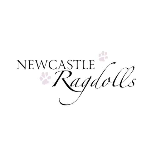 Newcastle Ragdolls