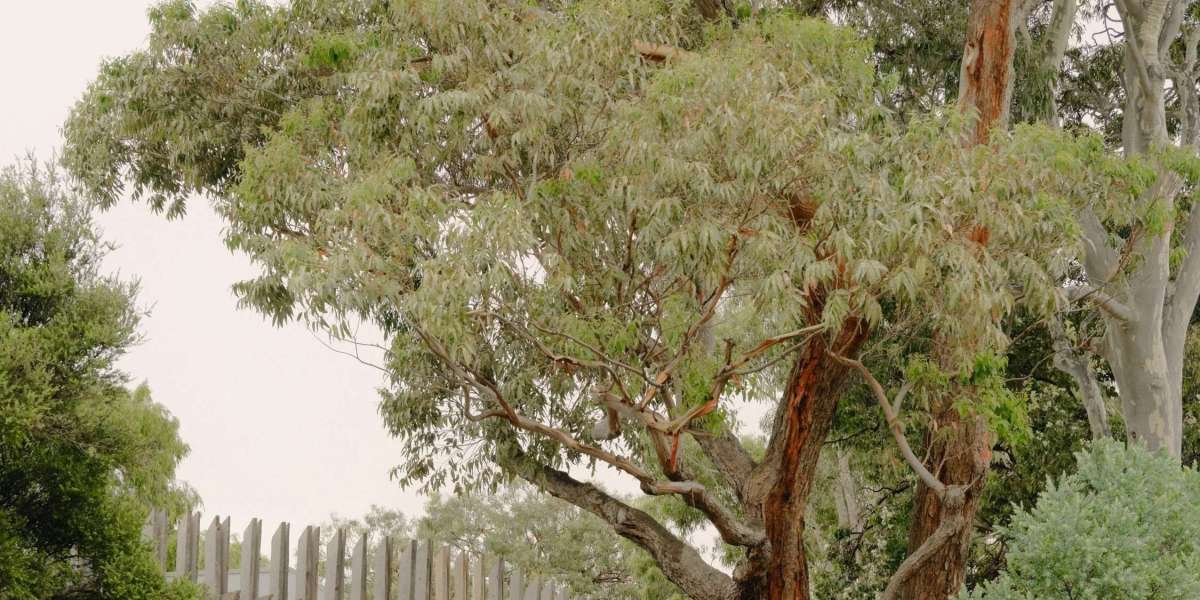 Exploring the Role of Architects Melbourne in Shaping Victoria’s Living Spaces