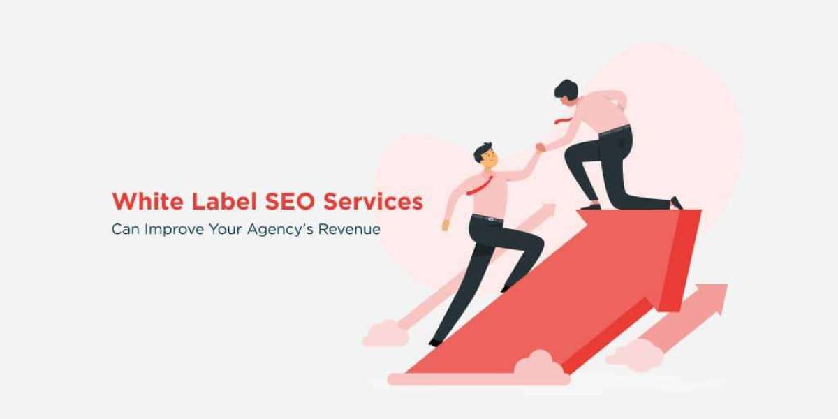 White Label SEO Agency: Helping Agencies Expand with Ease - Pitch Pine Media